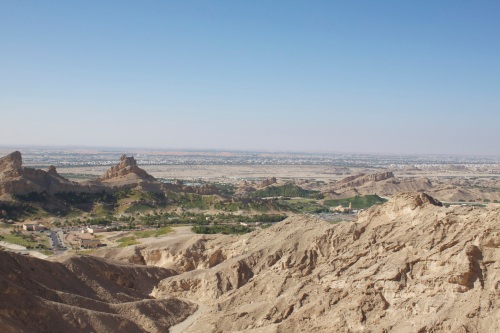 Looking over the Al Ain Oases. Al Ain also has a truly world class zoo.