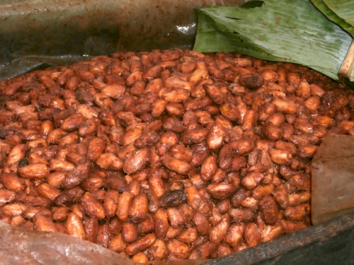Beans ferment for a few days to a week, depending on the temperature.  They are wrapped in banana leaves to conserve heat.