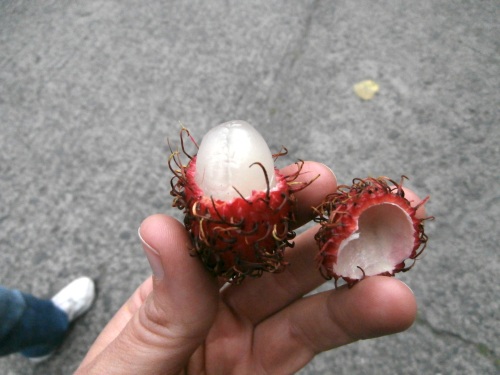 Rambutans- I hadn’t had these before, but they are very tasty! 